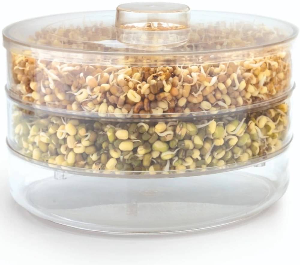     			Stysol Plastic 3 Compartment Sprout Maker
