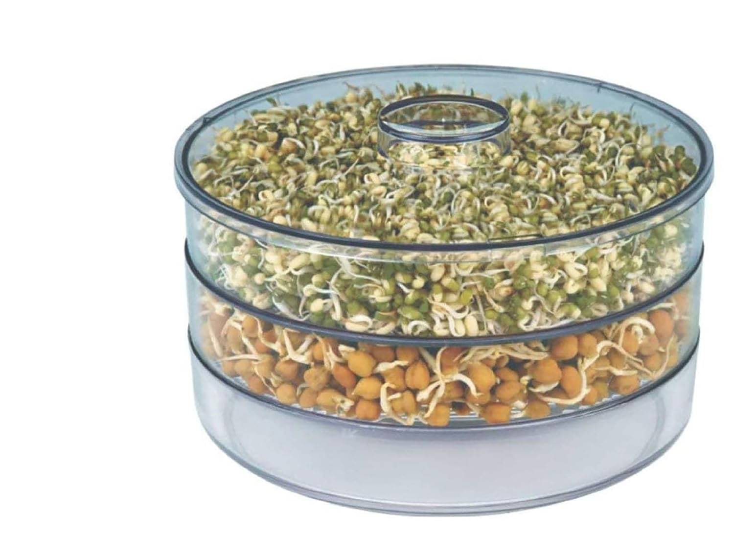     			Stysol Plastic 3 Compartment Sprout Maker