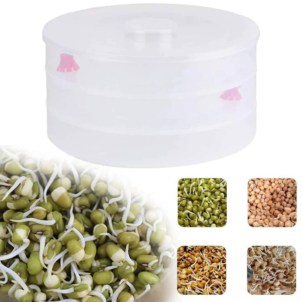     			Stysol Plastic 3 Compartment Sprout Maker