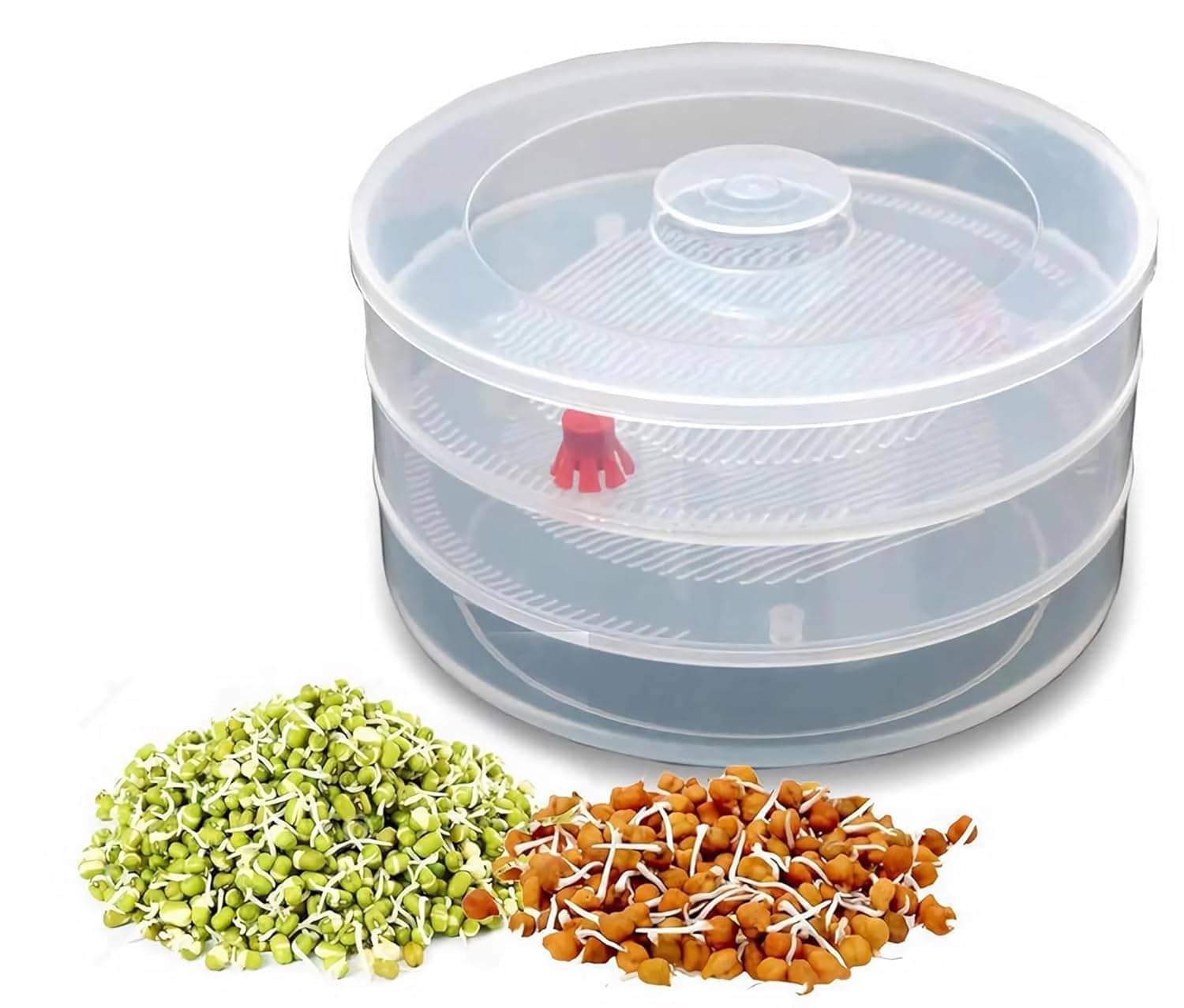     			Stysol Plastic 3 Compartment Sprout Maker