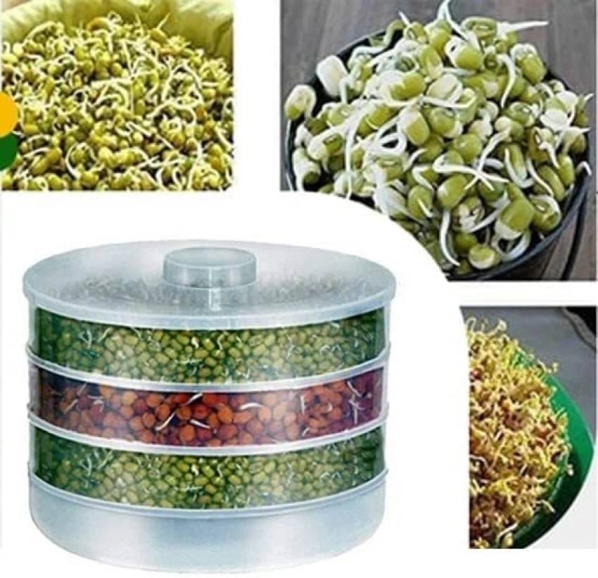     			Stysol Plastic 4 Compartment Sprout Maker