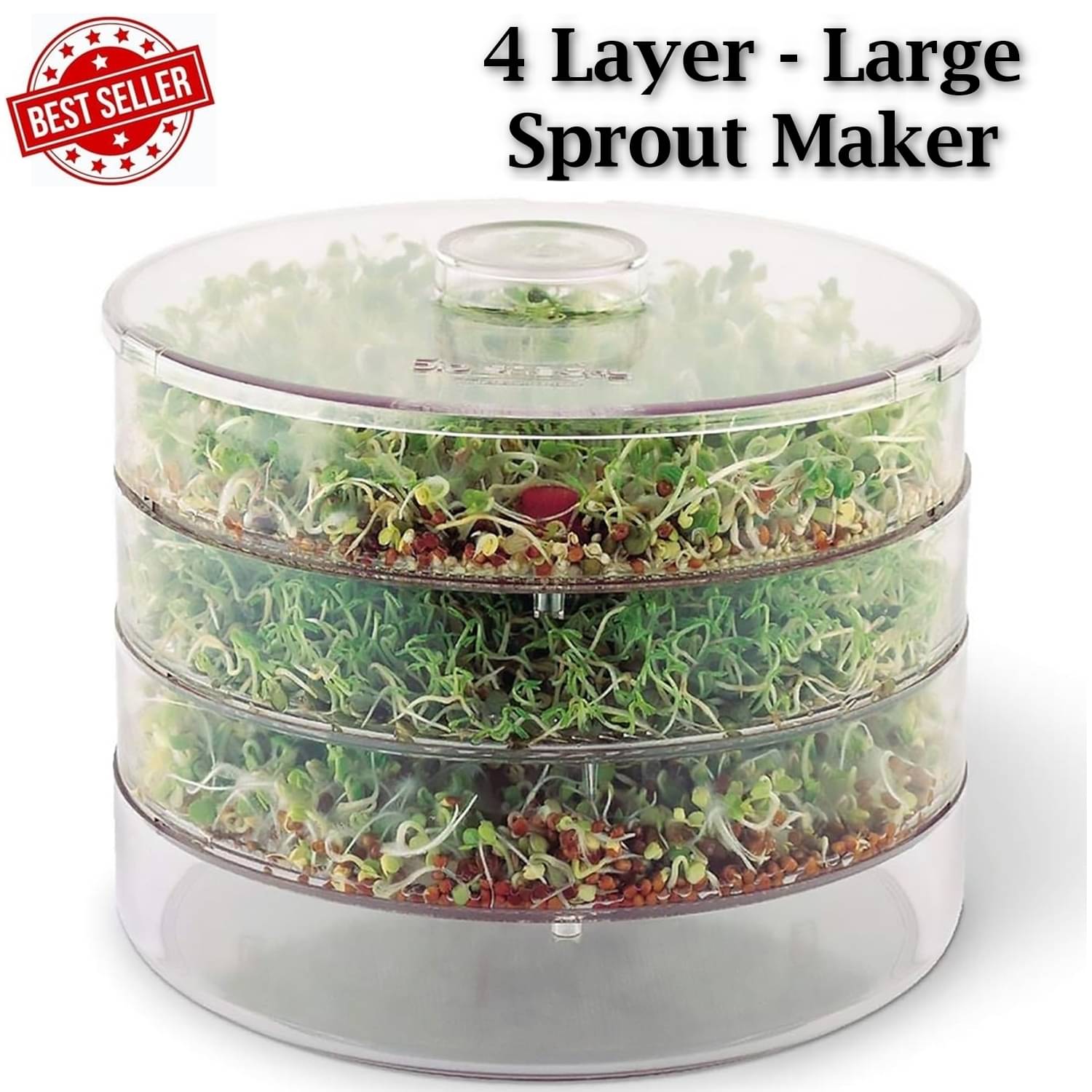     			Stysol Plastic 3 Compartment Sprout Maker