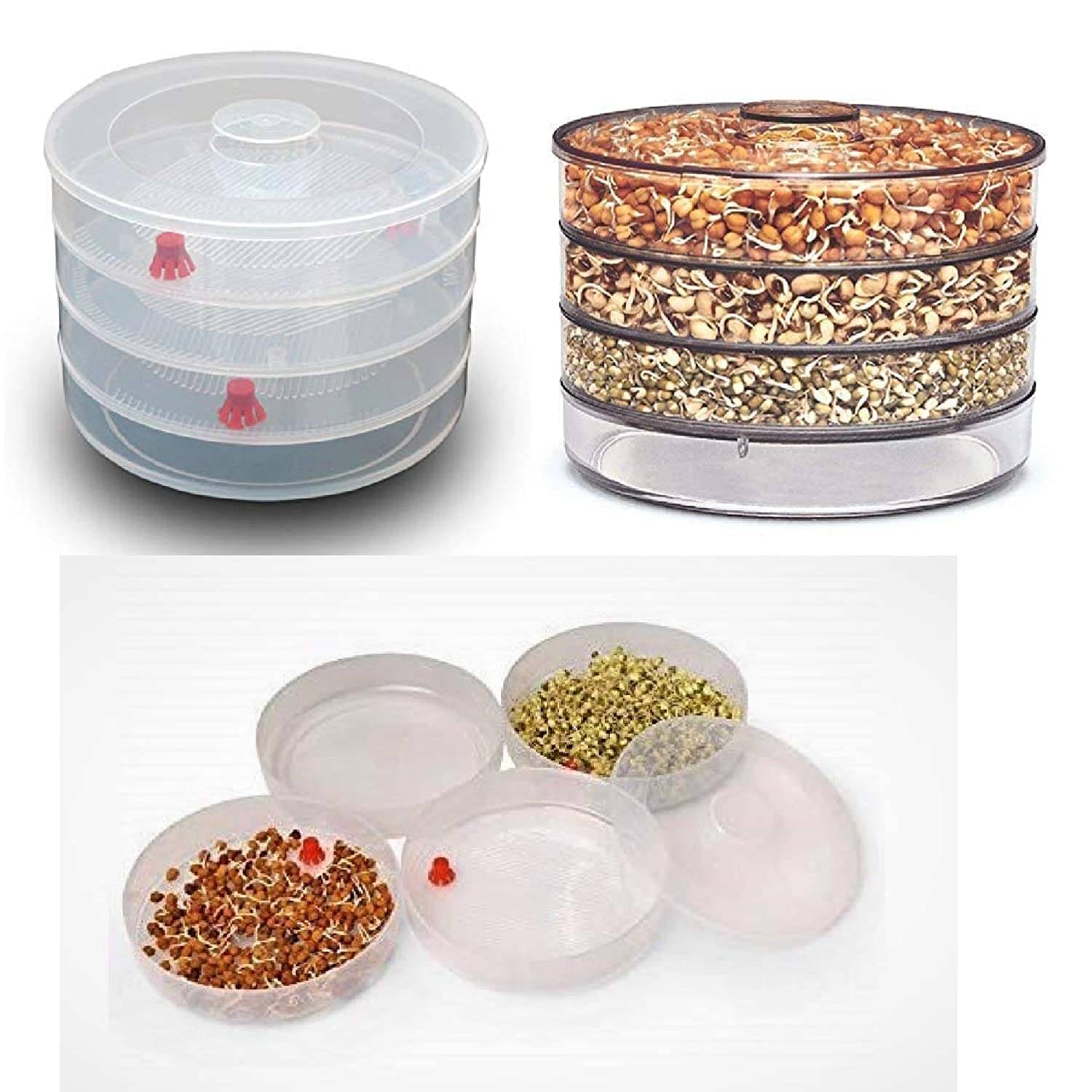     			Stysol Plastic 4 Compartment Sprout Maker