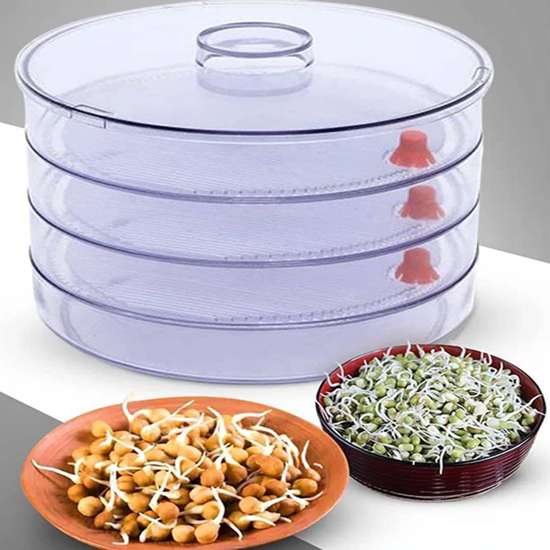     			Stysol Plastic 4 Compartment Sprout Maker