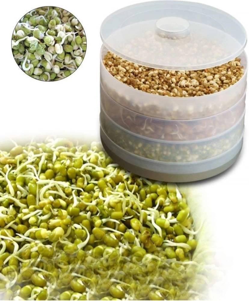     			Stysol Plastic 4 Compartment Sprout Maker