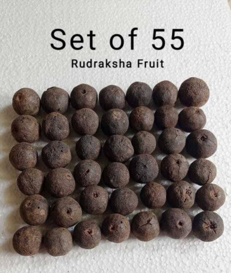     			YASH GEMS Rudraksha Pendant ( Pack of 1 )