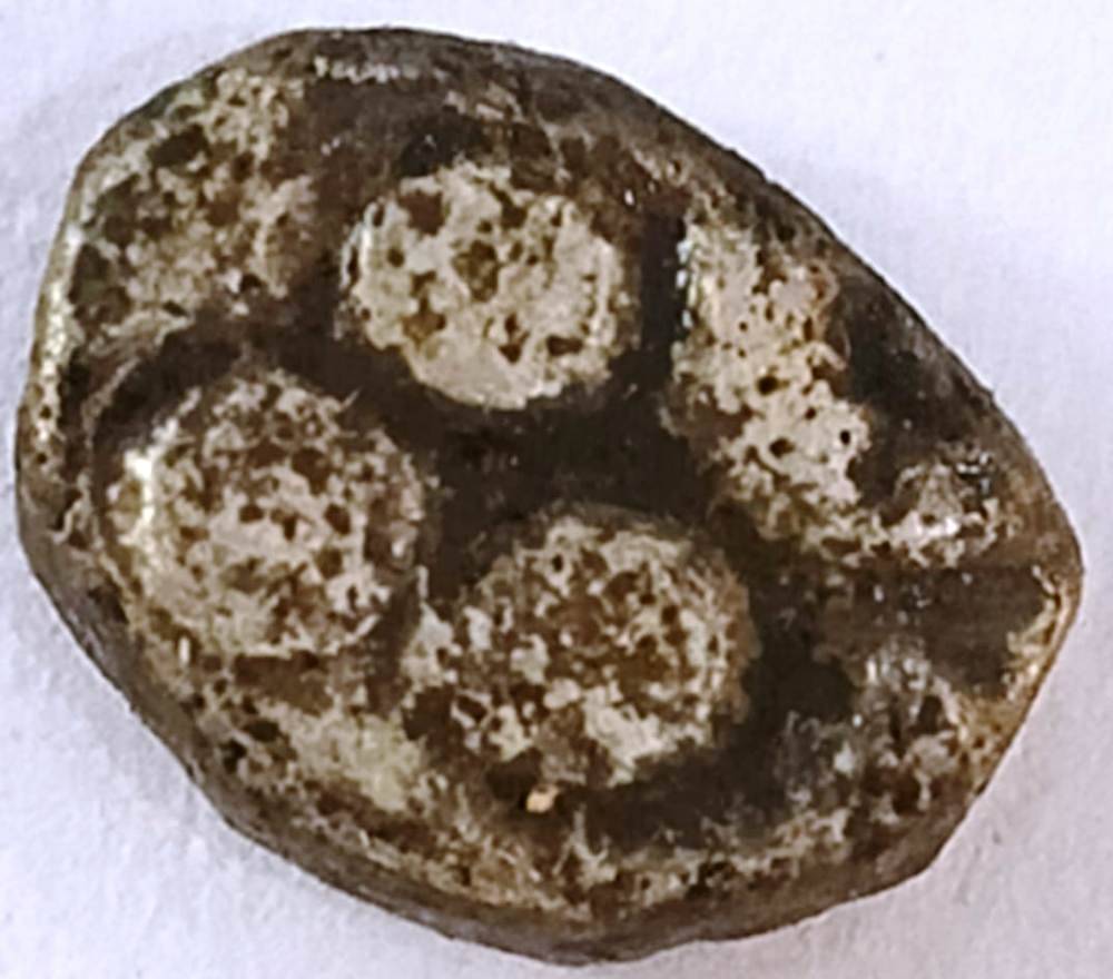     			Avanti Janapada silver PMC Collection Type