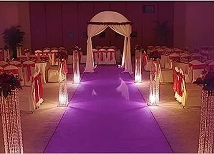     			ANABIA CARPET Purple Others Carpet Plain 5x8 Ft