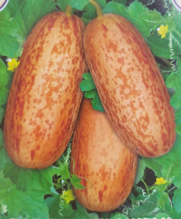     			LiveNature Kakdi Vegetable ( 50 Seeds )