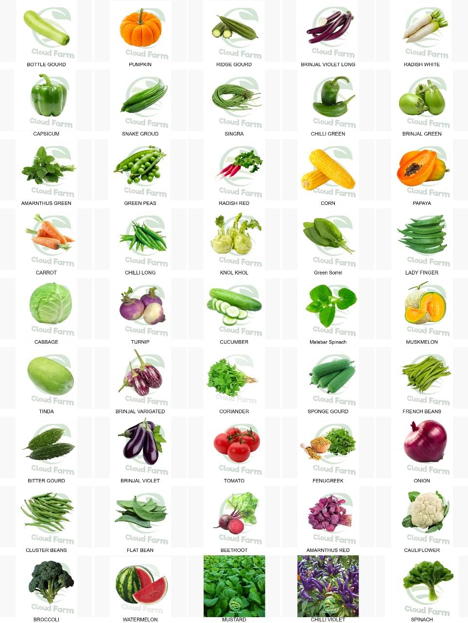    			Cloud Farm Broccoli Vegetable 45 Varieties ( 2700 Seeds )