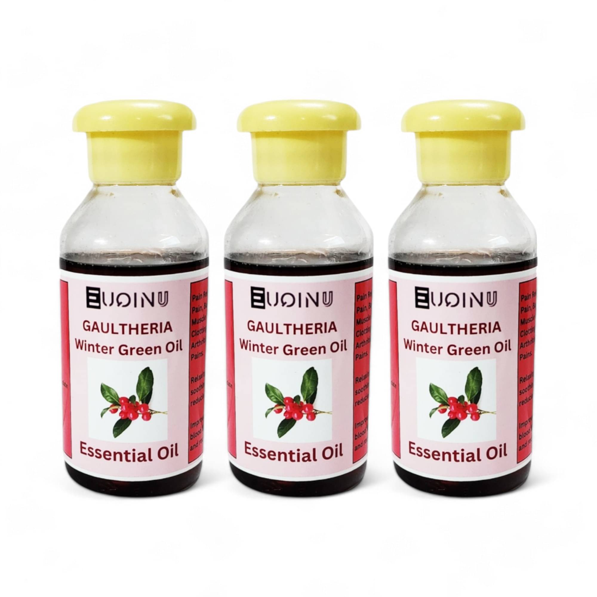     			Euqinu Wintergreen Essential Oil 100 mL ( Pack of 3 )