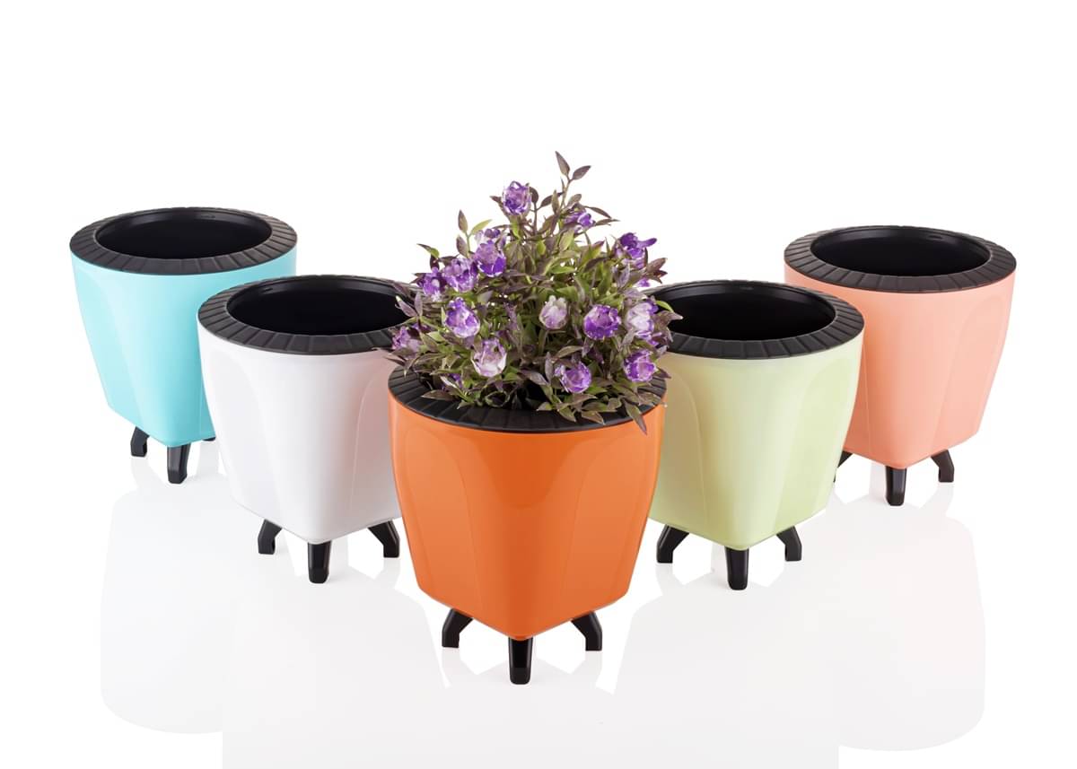     			Stysol Multicolor Plastic Flower Pot ( Pack of 5 )