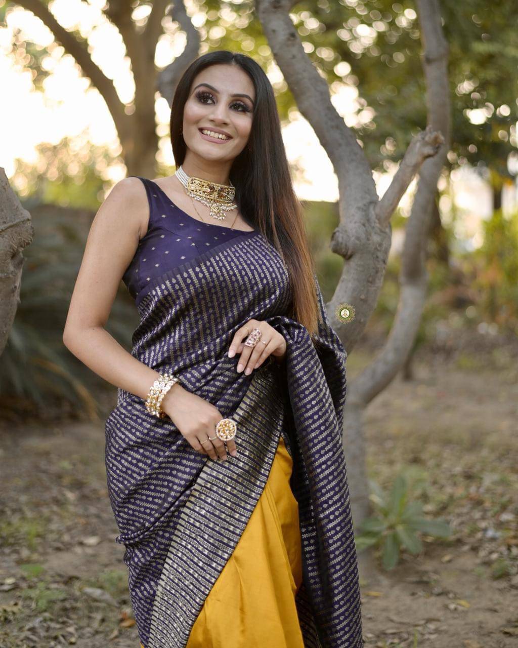     			Vastukala Silk Woven Saree With Unstitched Blouse Piece ( Navy Blue )