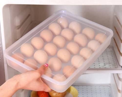 Refrigerator Egg Tray Holder With Cover | For 24 Eggs, Plastic, Transparent (Pack of 1) Refrigerator Egg Tray Holder With Cover | For 24 Eggs, Plastic, Transparent (Pack of 1)
