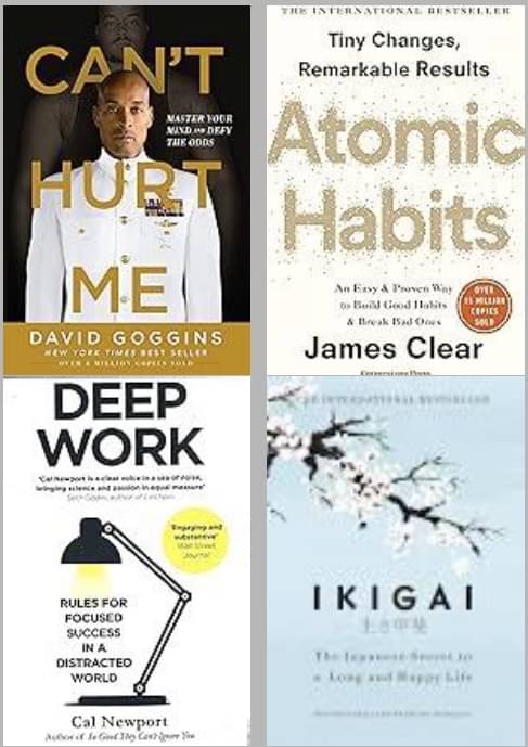     			Can't Hurt Me + Atomic Habits + Deep Work + Ikigai