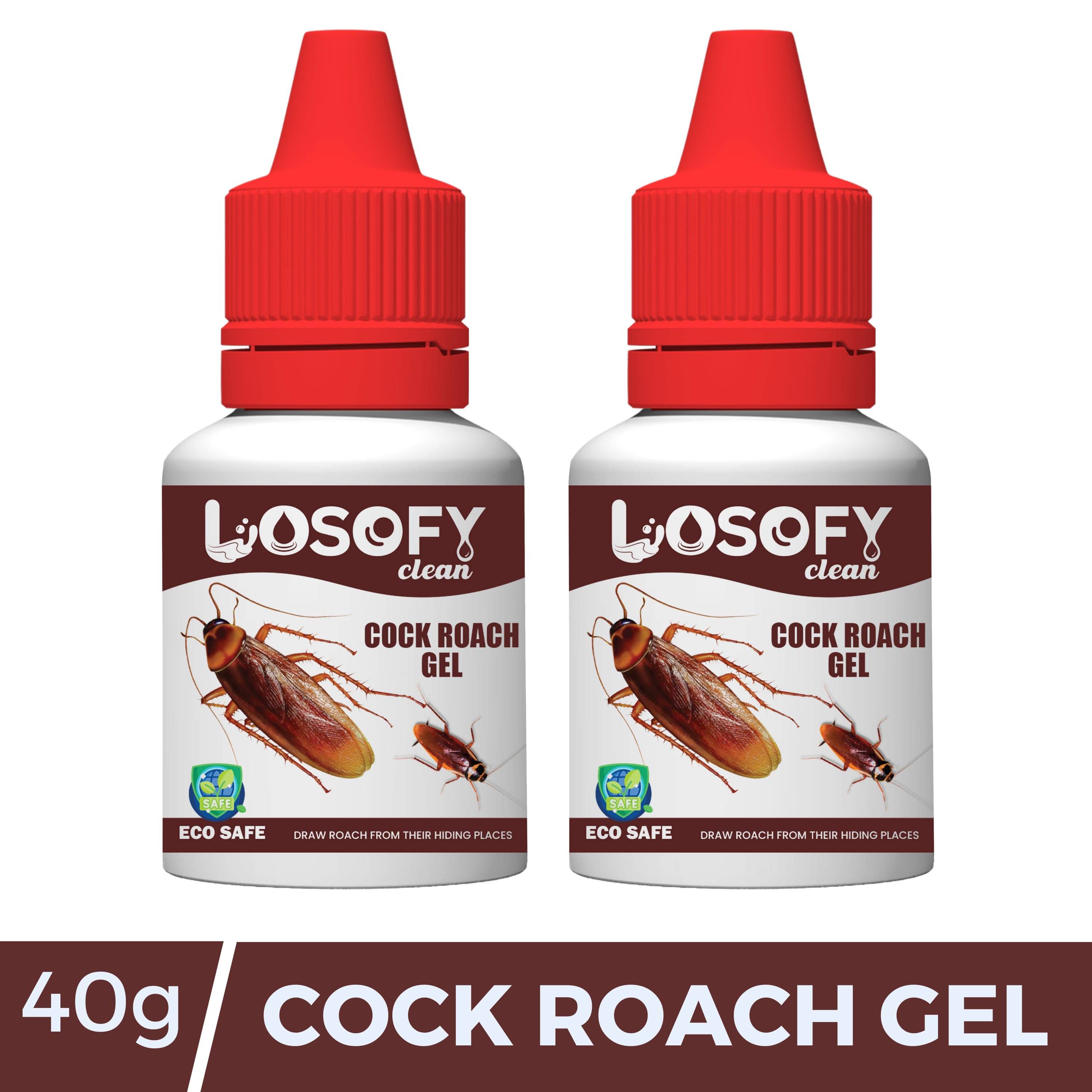     			LOSOFY CLEAN Cockroach Lotion