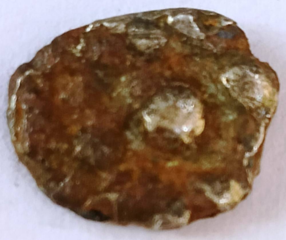     			Silver Avanti Janapada Type Unclean Coin