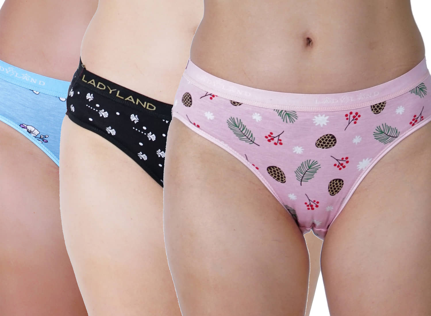 Ladyland Pack of 3 Cotton Briefs For Women ( Multicolor )