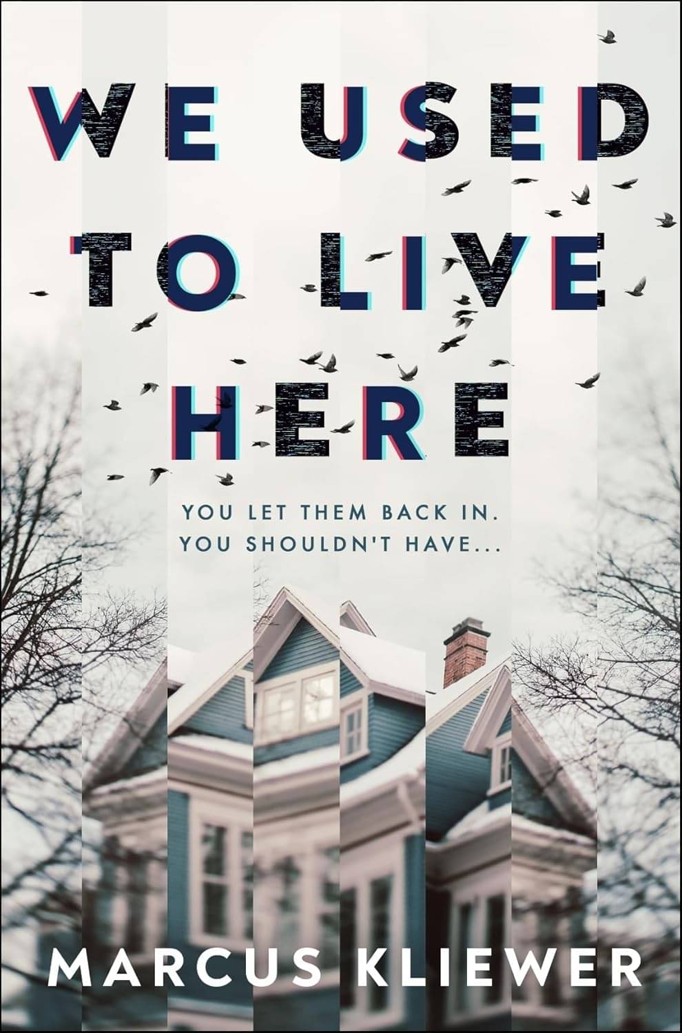     			We Used to Live Here Paperback – 20 June 2024