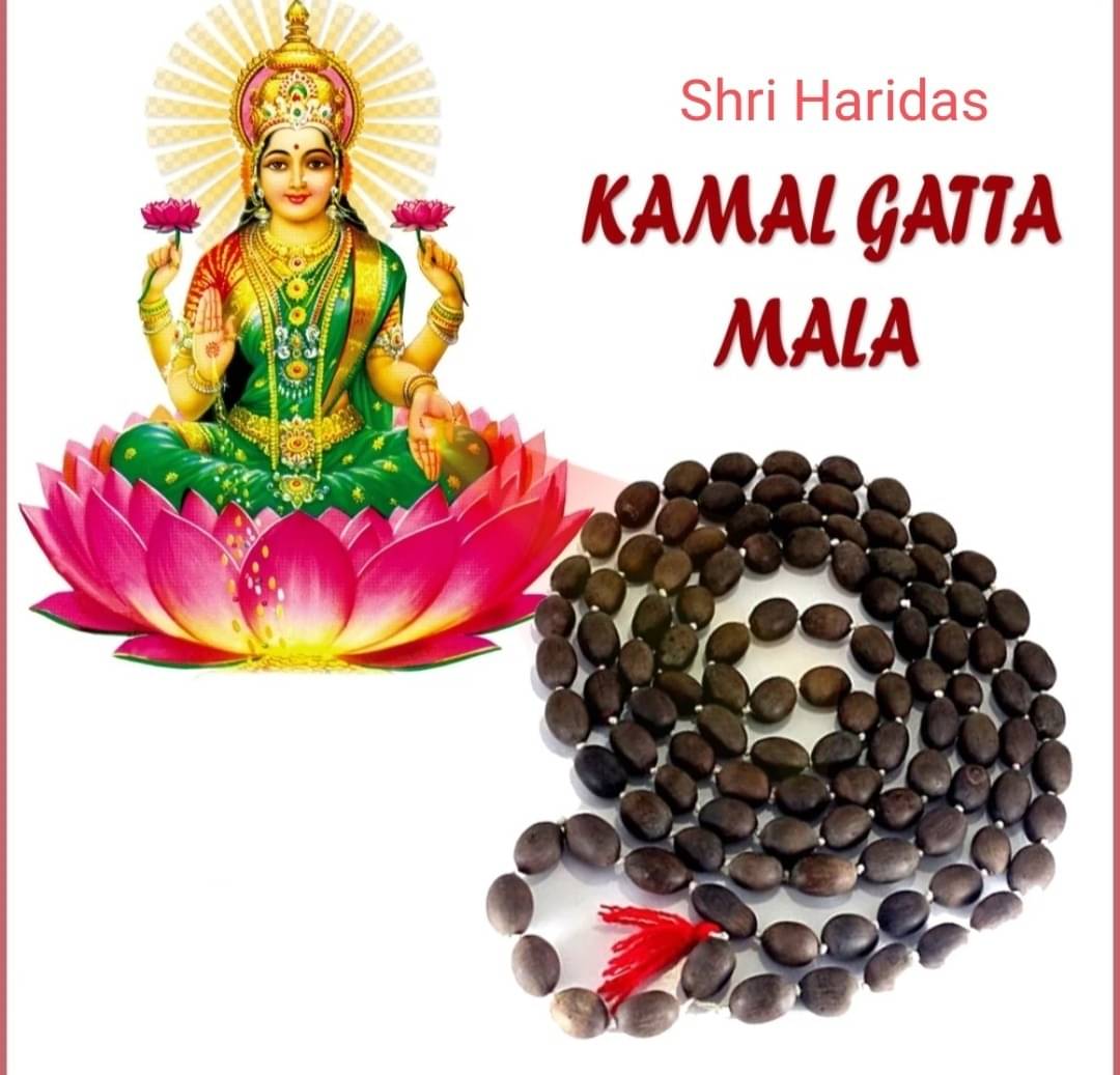     			Basukiya Kamal Gatta 1 ( Pack of 1 )