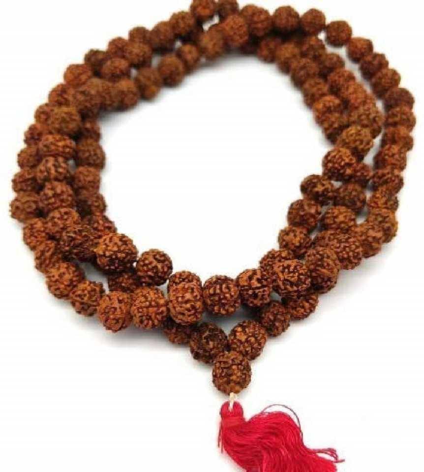     			Basukiya Rudraksha Mala ( Pack of 1 )