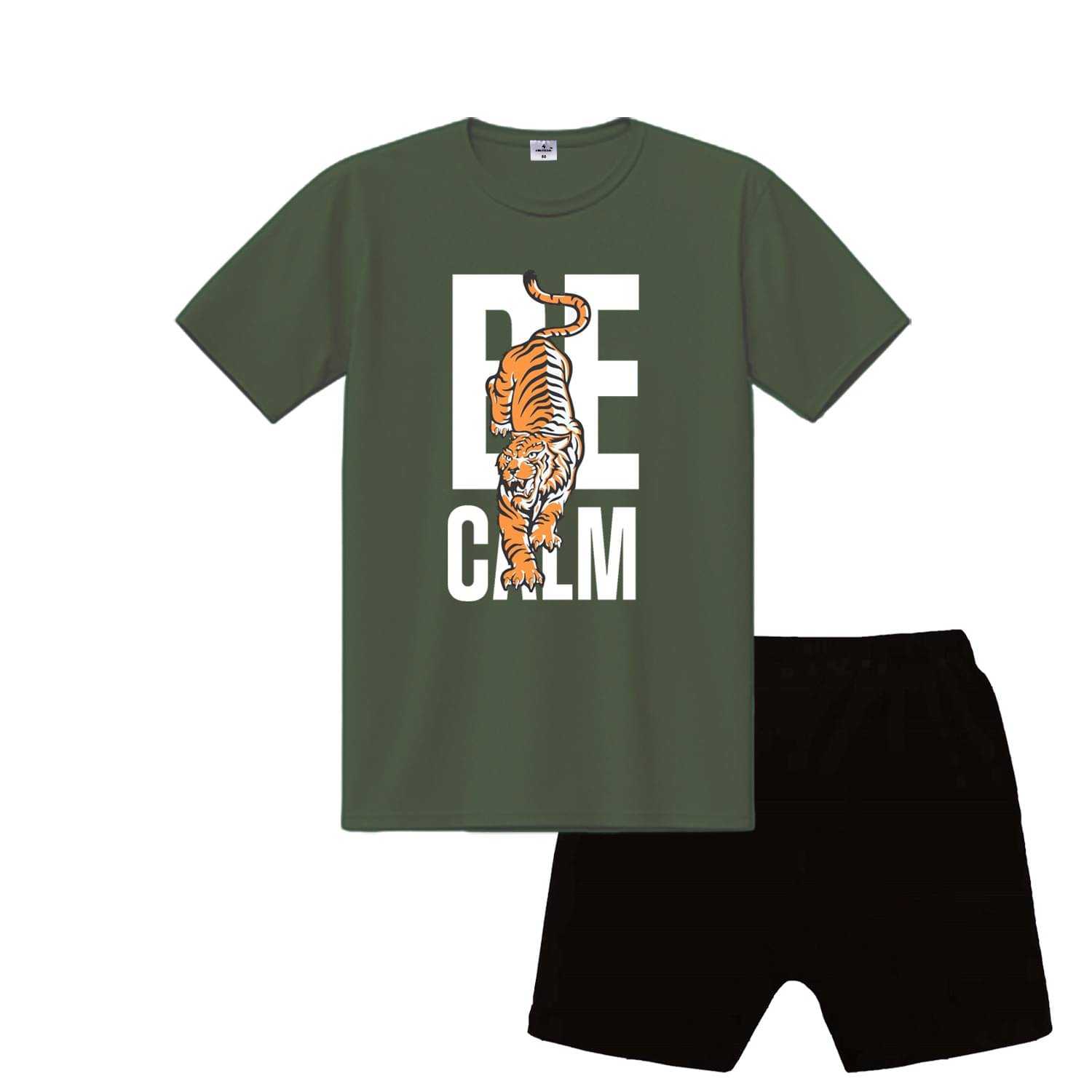 COOLTEES4U Pack of 2 Boys Cotton T-Shirt & Shorts Set ( Multicolor 2 ) COOLTEES4U Pack of 2 Boys Cotton T-Shirt & Shorts Set ( Multicolor 2 )