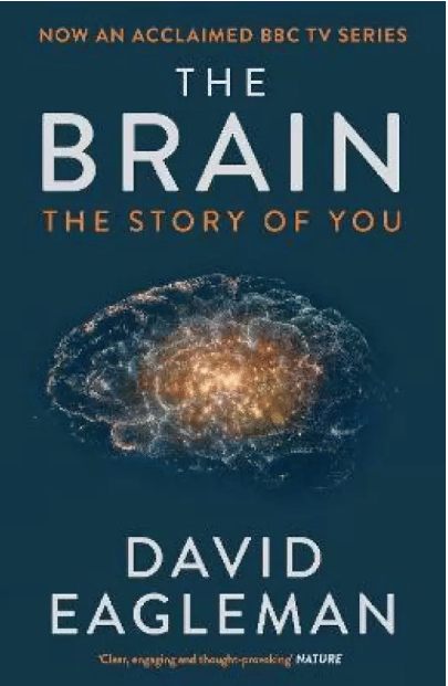     			The Brain - The Story of You  (English, Paperback, Eagleman David)