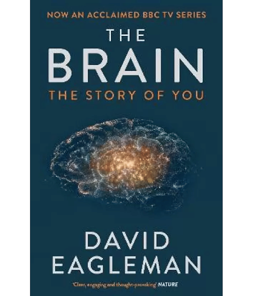 The Brain - The Story of You (English, Paperback, Eagleman David) - Stationery | Buy online on ZillyBuy