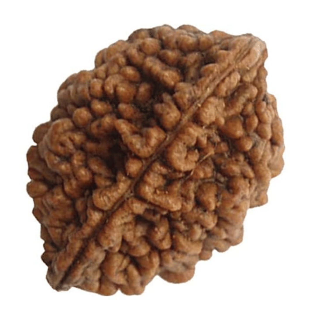     			NAVYAKSH Pooja Mala 1 ( Pack of 1 )