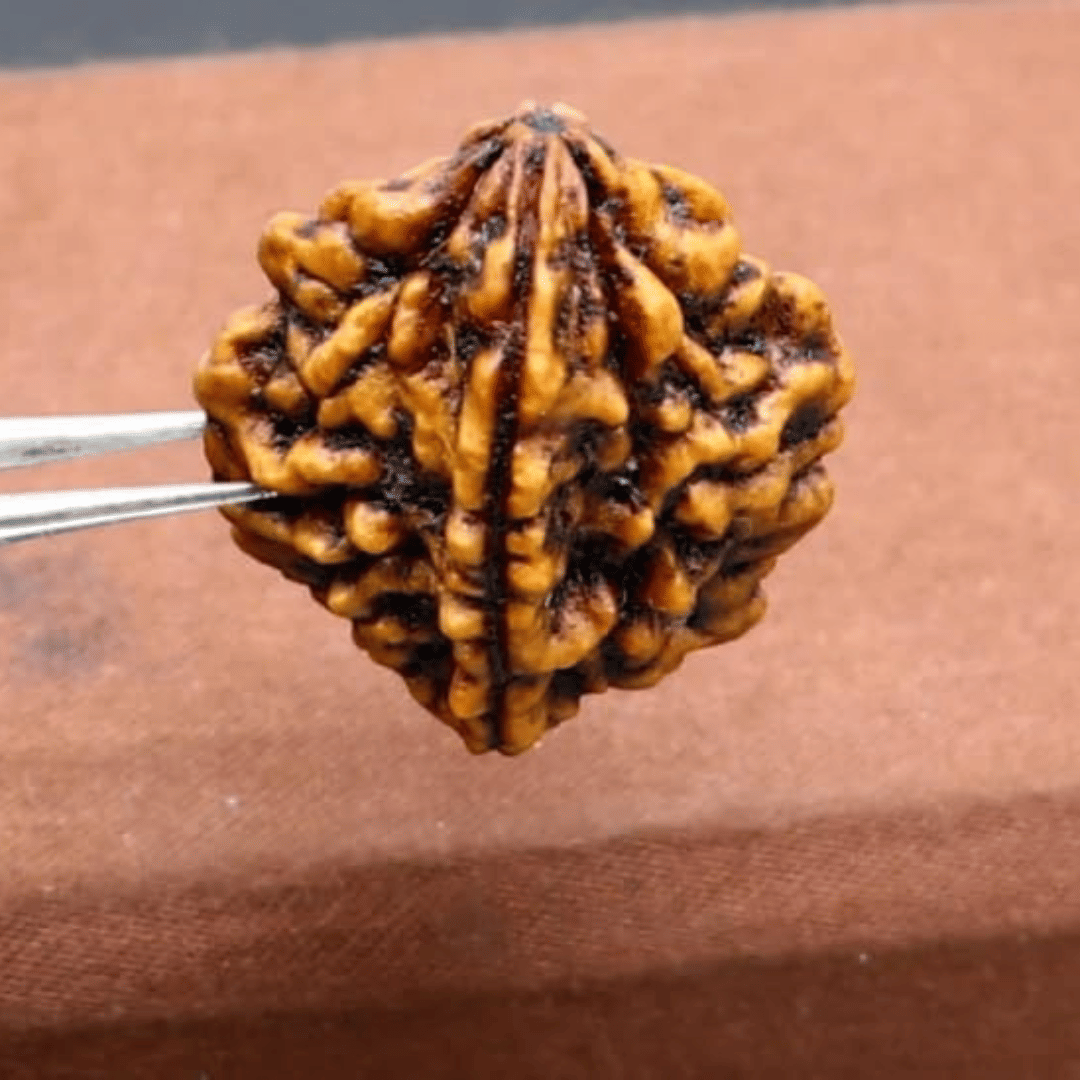     			NAVYAKSH Pooja Mala 1 ( Pack of 1 )