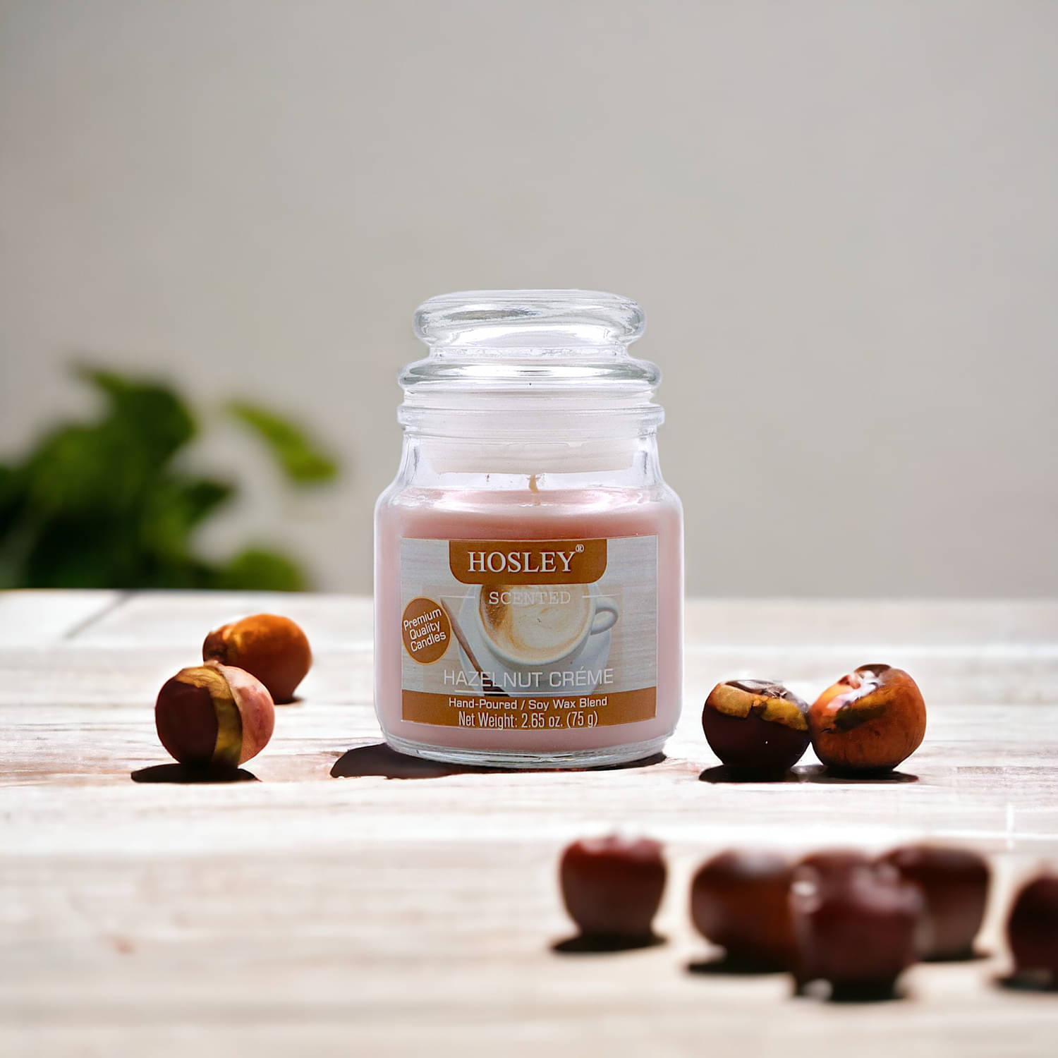     			Hosley Brown Jar Candle 9 cm ( Pack of 1 )