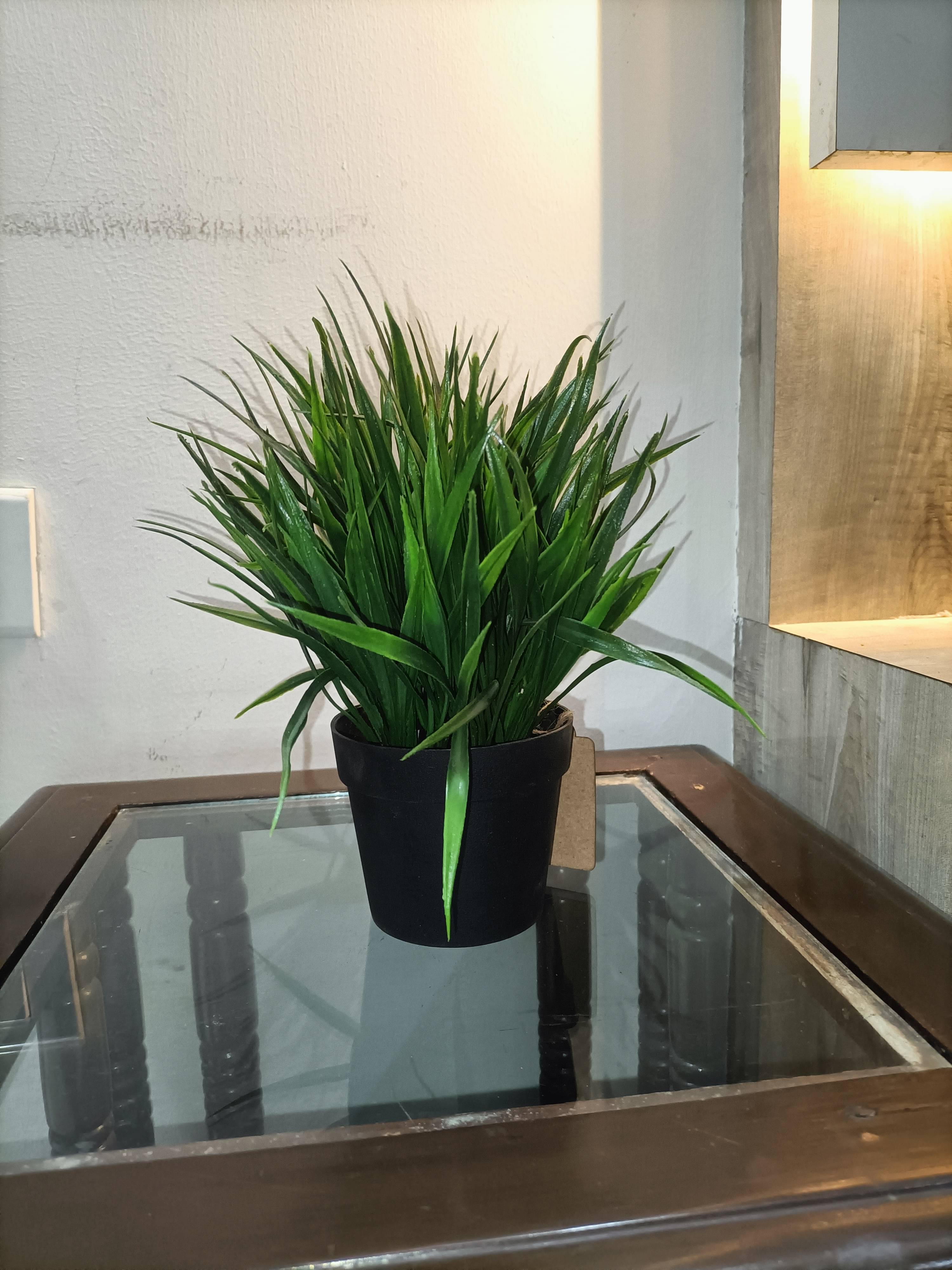     			EverBloom Wild Artificial Plant with Pot (30.48 cm, Green)