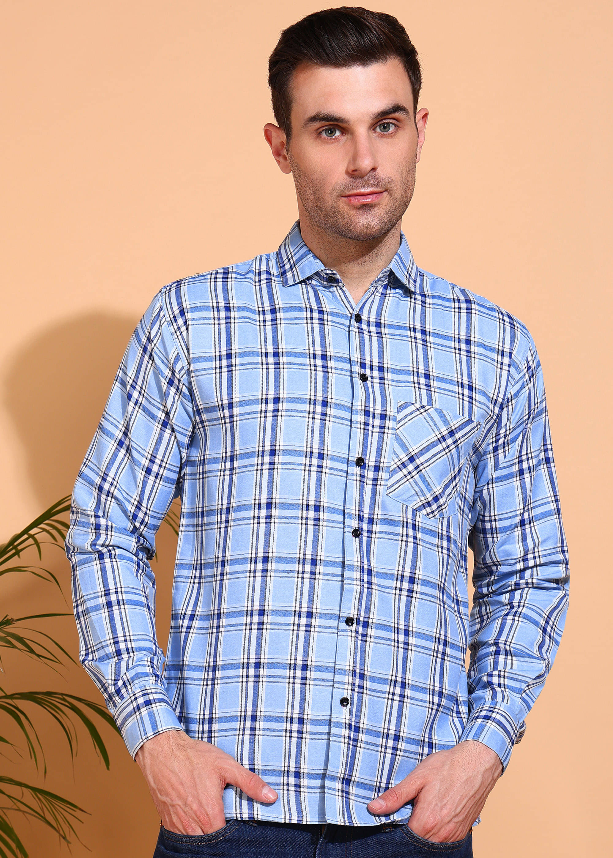 allan peter 100% Cotton Regular Fit Checks Full Sleeves Men's Casual Shirt - Light Blue ( Pack of 1 ) allan peter 100% Cotton Regular Fit Checks Full Sleeves Men's Casual Shirt - Light Blue ( Pack of 1 )