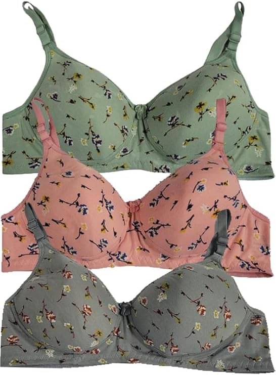     			Narsingha Dreams Pack of 3 Cotton Blend Lightly Padded T-Shirt Bra For Women ( Pink )