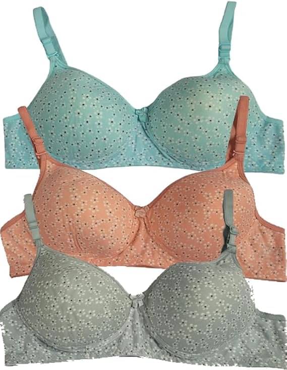 Narsingha Dreams Pack of 3 Cotton Blend Lightly Padded T-Shirt Bra For Women ( Orange ) Narsingha Dreams Pack of 3 Cotton Blend Lightly Padded T-Shirt Bra For Women ( Orange )
