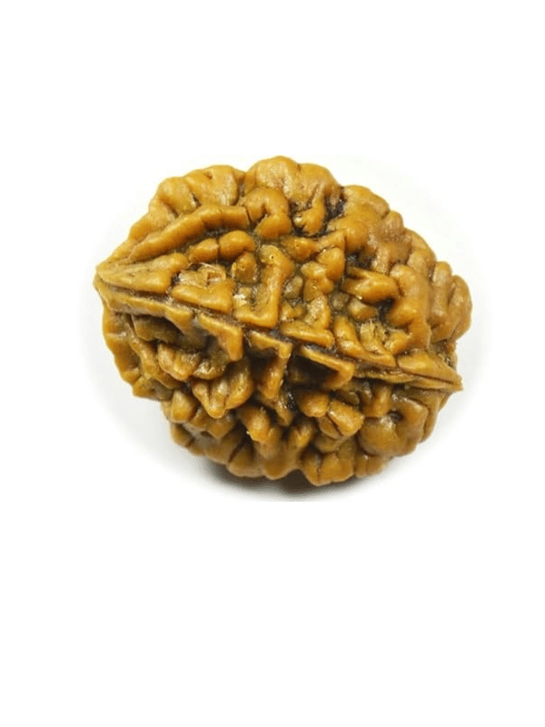     			NAVYAKASH Bead ( Pack of 1 )