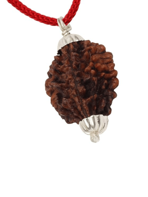 NAVYAKASH CREATIONS Rudraksha Bead ( Pack of 1 ) NAVYAKASH CREATIONS Rudraksha Bead ( Pack of 1 )
