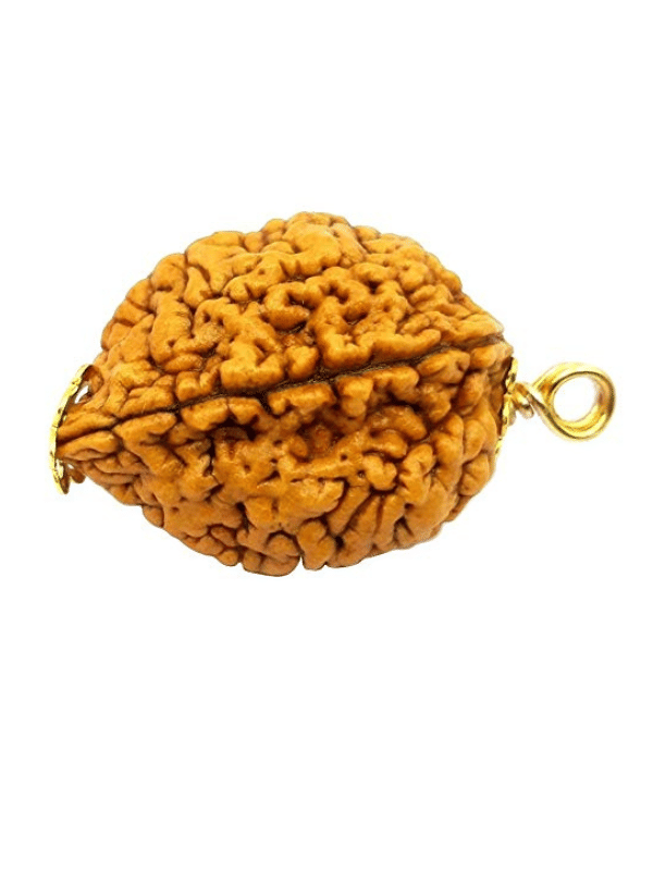NAVYAKASH CREATIONS Rudraksha Bead ( Pack of 1 ) NAVYAKASH CREATIONS Rudraksha Bead ( Pack of 1 )