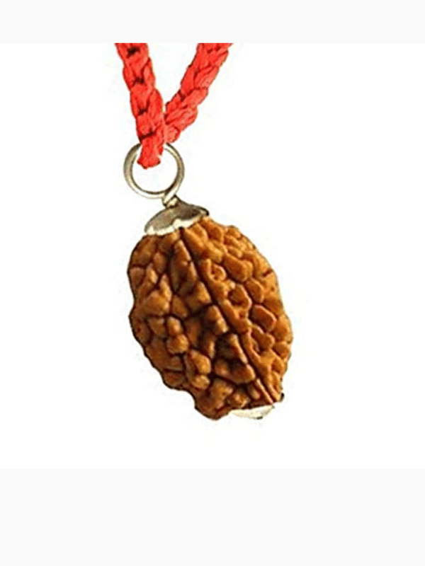     			NAVYAKASH Rudraksha Bead ( Pack of 1 )