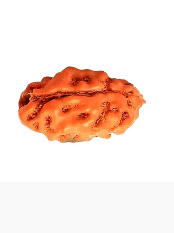     			NAVYAKASH Rudraksha Bead ( Pack of 1 )