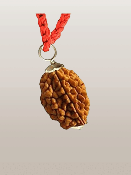     			NAVYAKASH Rudraksha Bead ( Pack of 1 )