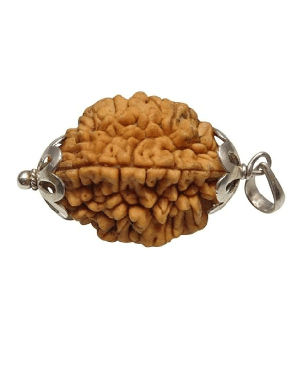    			NAVYAKASH Rudraksha Bead ( Pack of 1 )