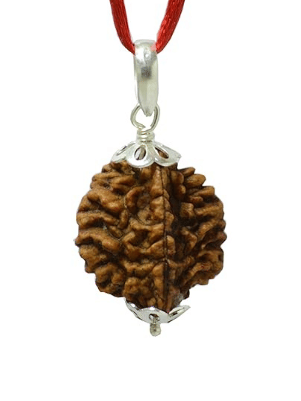     			NAVYAKASH Rudraksha Bead ( Pack of 1 )