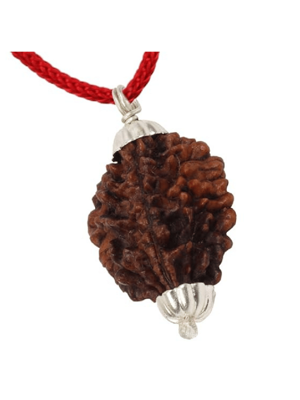     			NAVYAKASH Rudraksha Bead ( Pack of 1 )