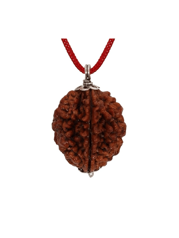     			NAVYAKASH Rudraksha Bead ( Pack of 1 )