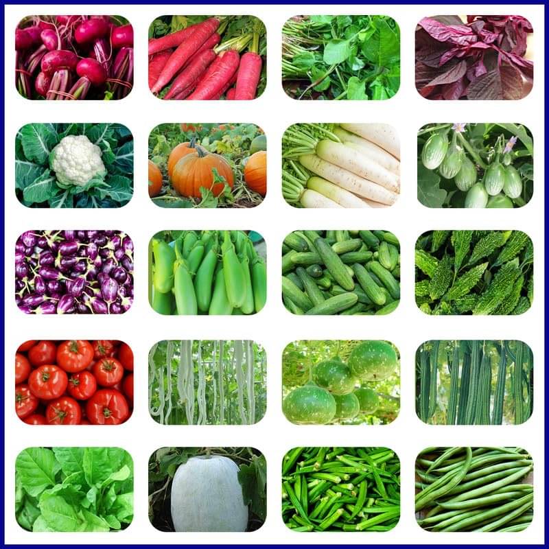     			Vedhahi Mixed Vegetable ( 100 Seeds )