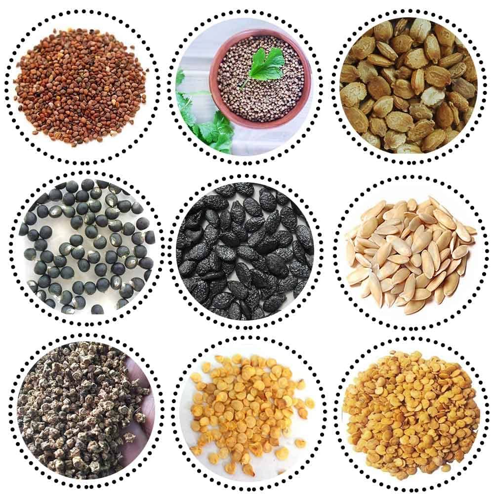     			Vedhahi Mixed Vegetable ( 45 Seeds )