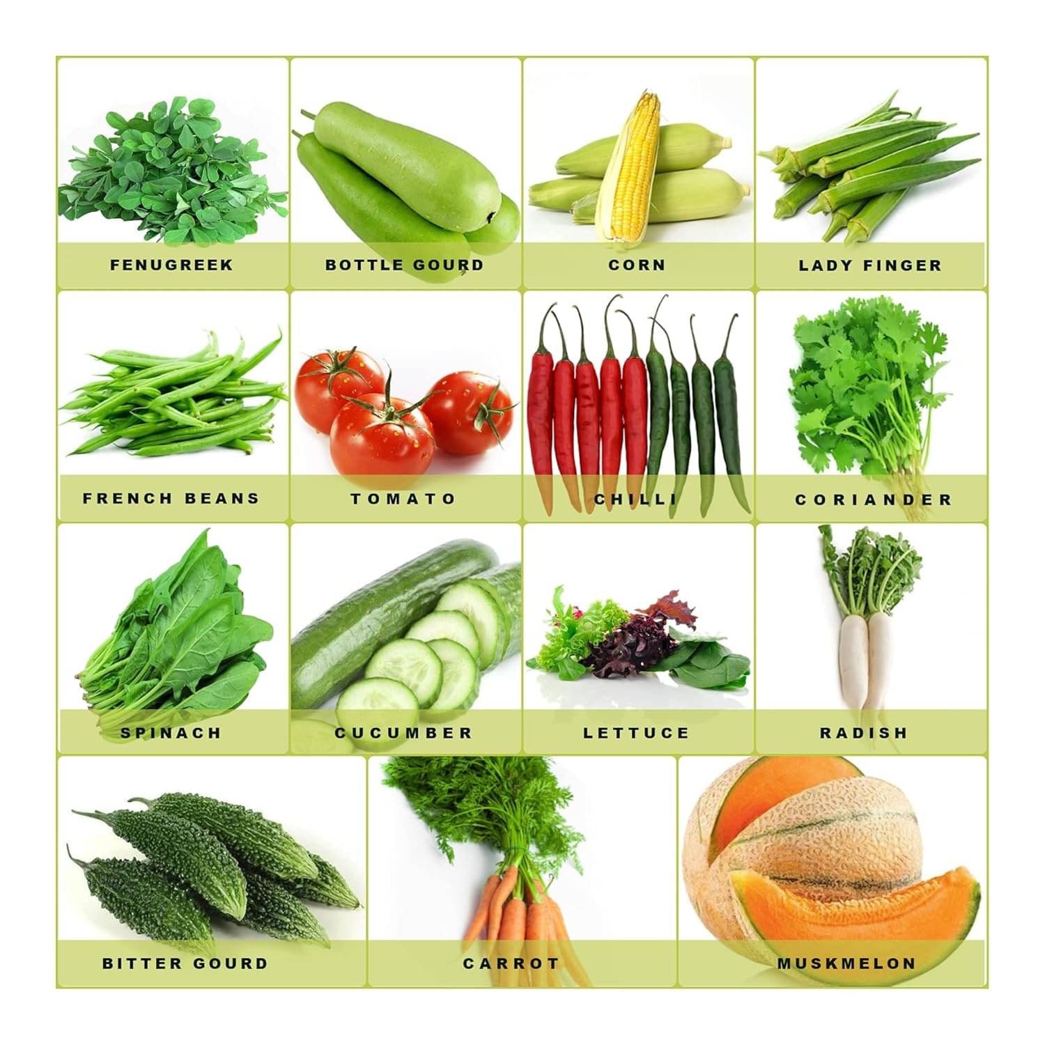    			Vedhahi Mixed Vegetable ( 80 Seeds )