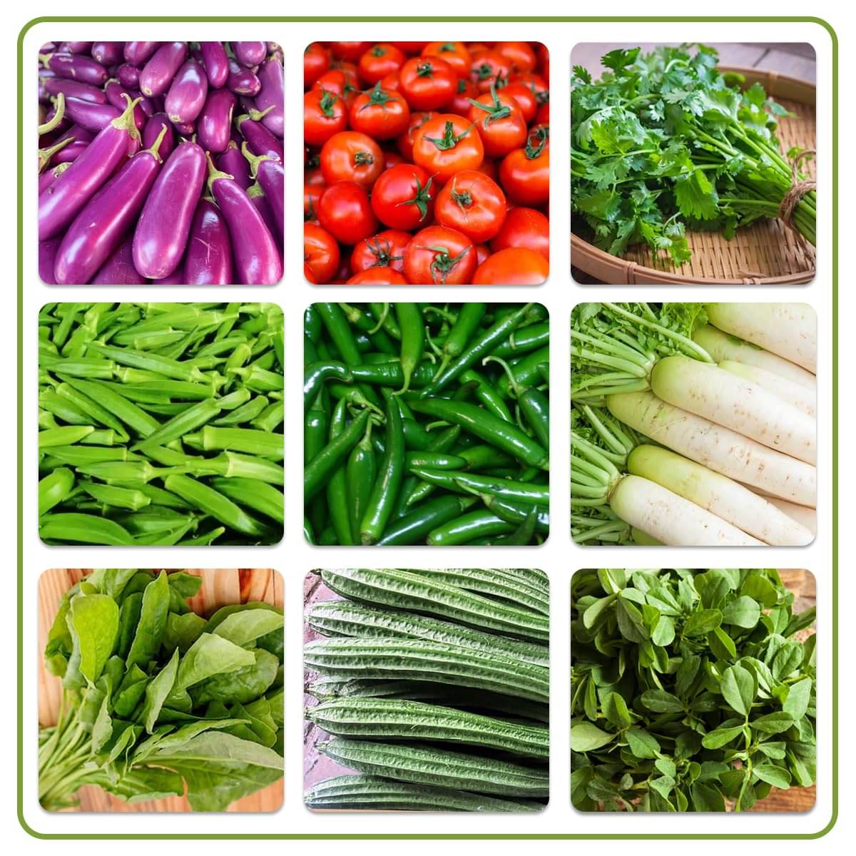     			Vedhahi Mixed Vegetable ( 90 Seeds )