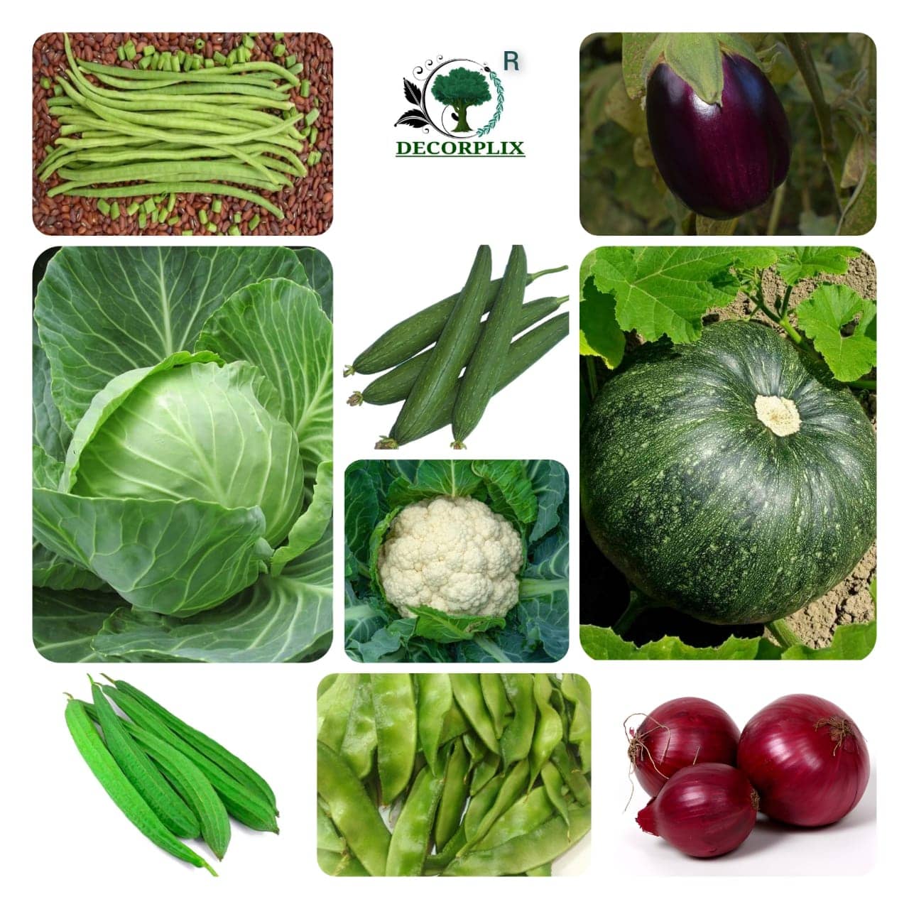 DECORPLIX Pumpkin Vegetable 9 Varieties ( 500 Seeds )